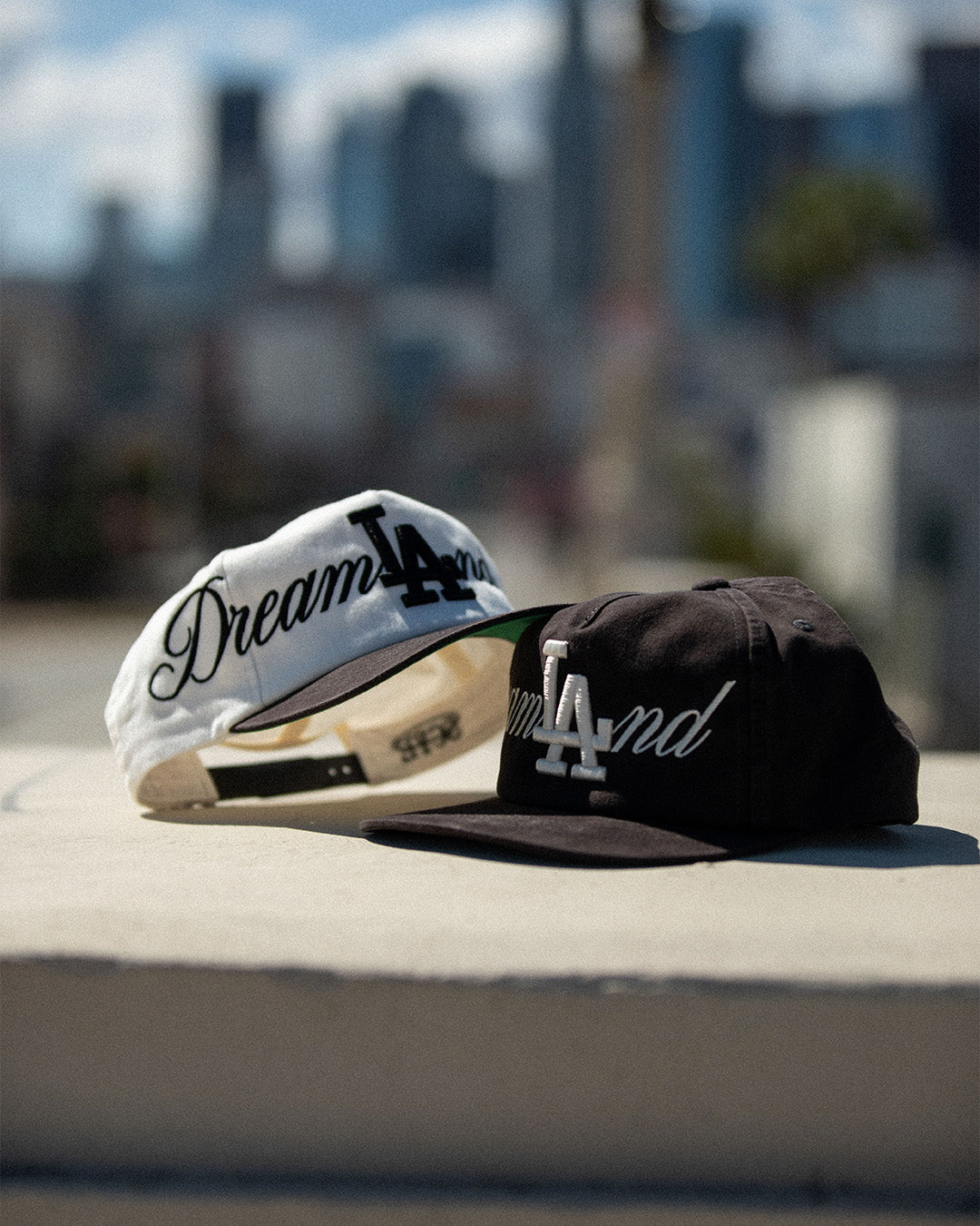 DreamLAnd Hat (Black)